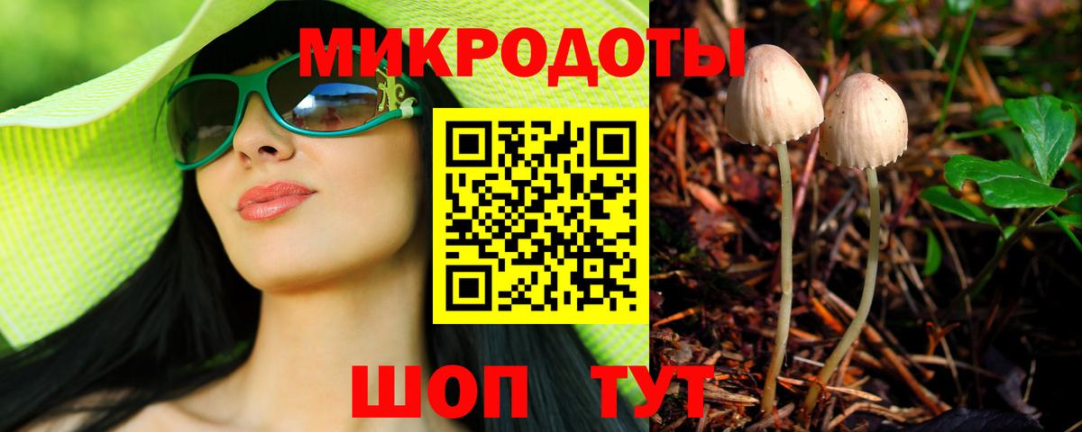 Псилоцибиновые грибы мицелий Кингисепп