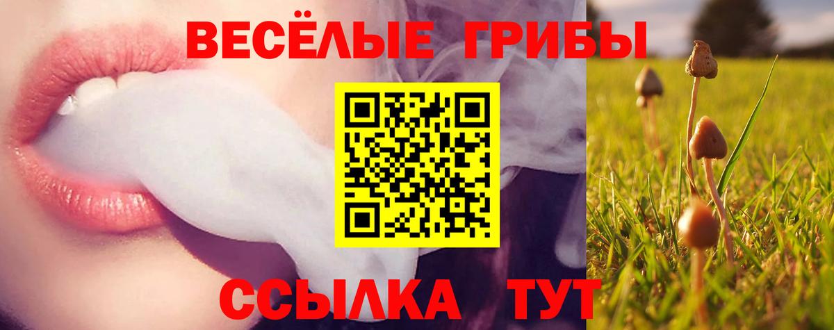 Псилоцибиновые грибы Magic Shrooms  Вход с VPN  Кингисепп 
